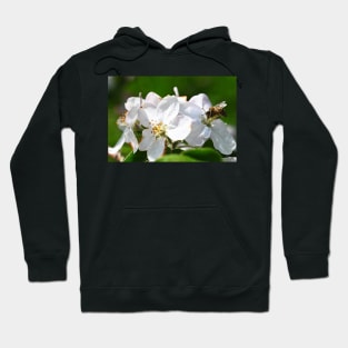 Honey bee on Flowers Hoodie